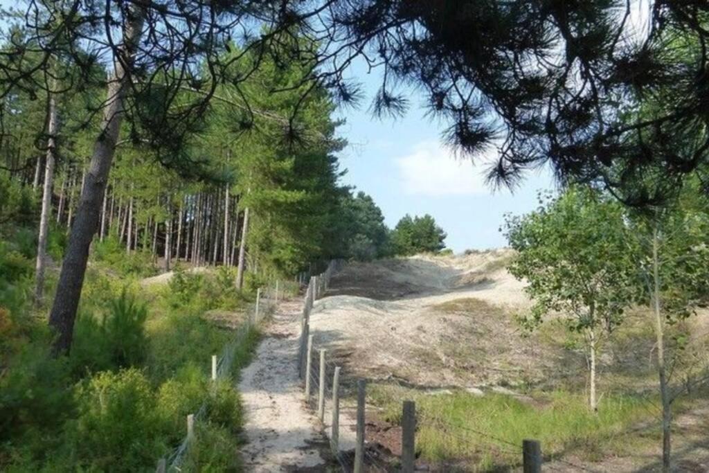 Kitesurf - 100M Plage - Deco Design Berck ภายนอก รูปภาพ