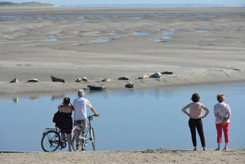 Kitesurf - 100M Plage - Deco Design Berck ภายนอก รูปภาพ